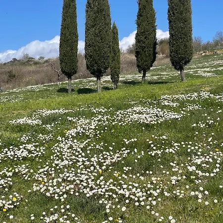 Romantico Casa de Campo Radicofani