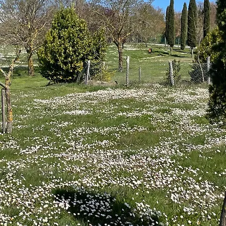 Romantico * Radicofani
